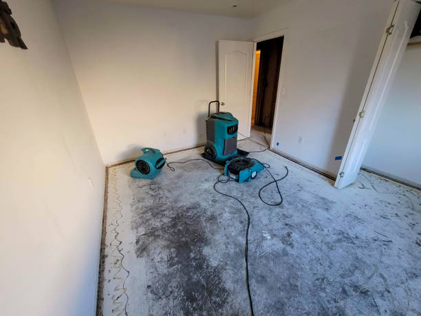 Best Water damage restoration near me  in National Harbor, MD