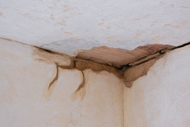 Best Water damage repair service  in National Harbor, MD