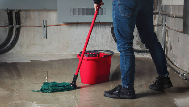 Best Flood restoration services  in National Harbor, MD