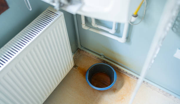 Best Ceiling water damage repair  in National Harbor, MD