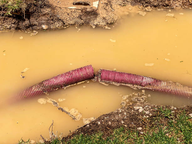 Best Sewage cleanup and water damage restoration  in National Harbor, MD