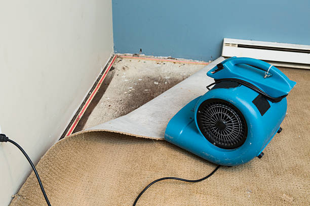 24/7 water damage repair in National Harbor, MD